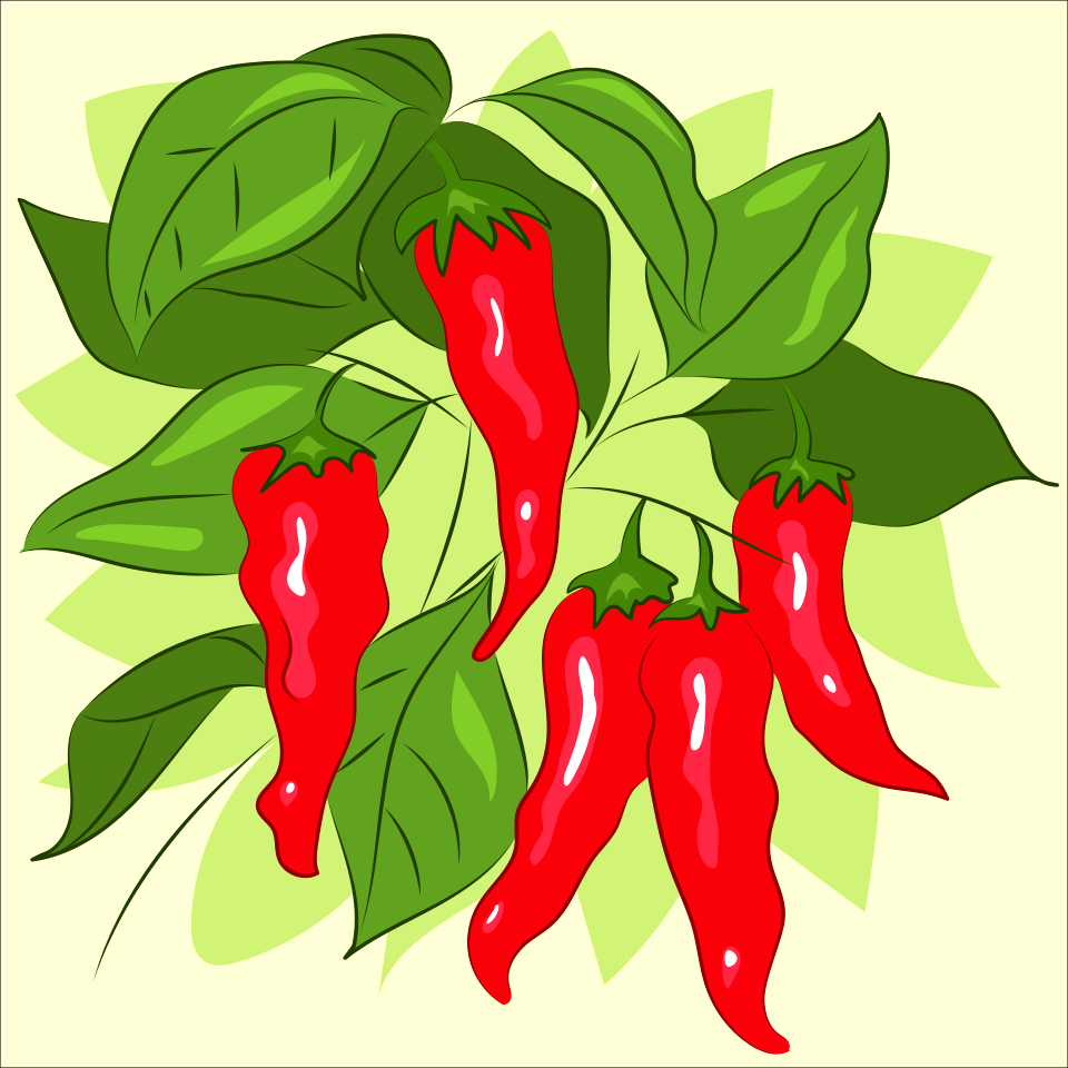 Chili