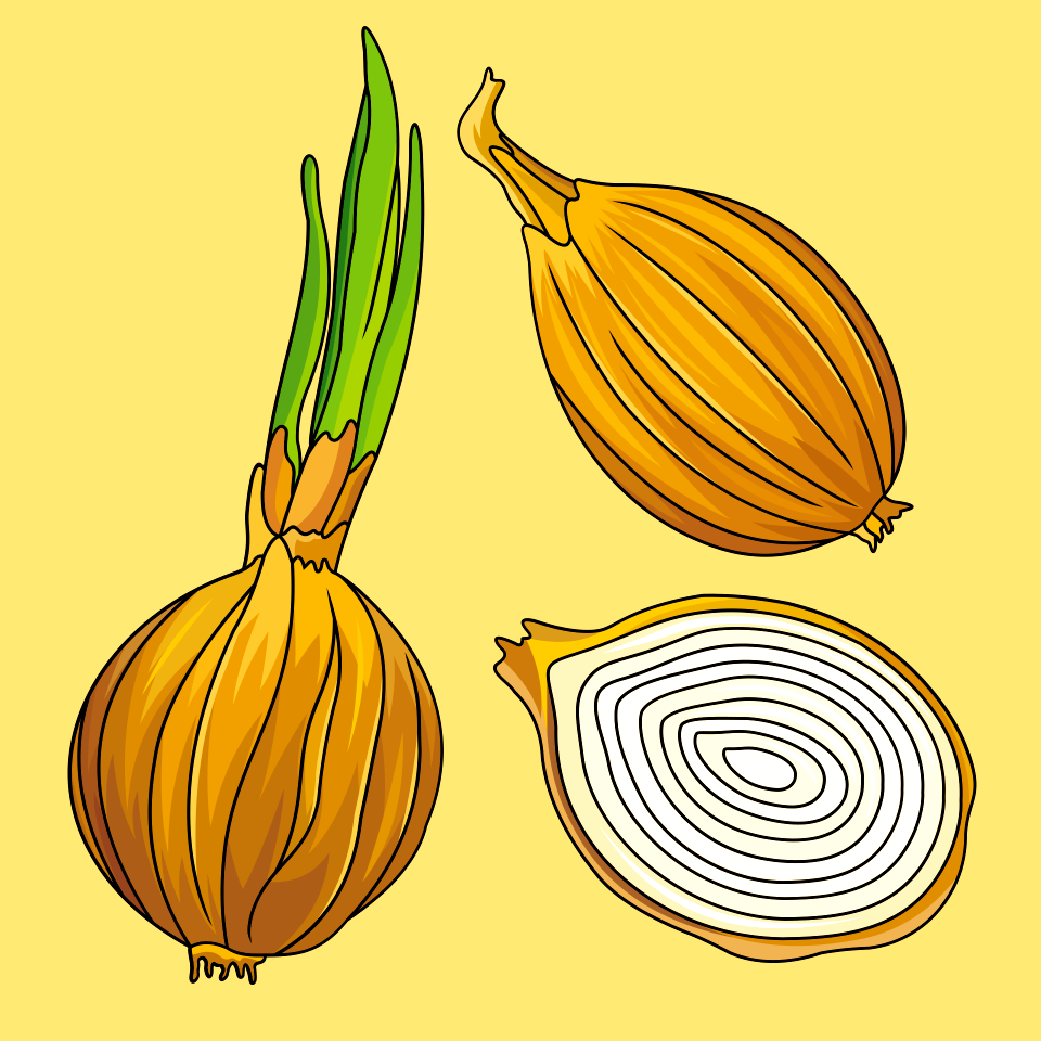 Onion