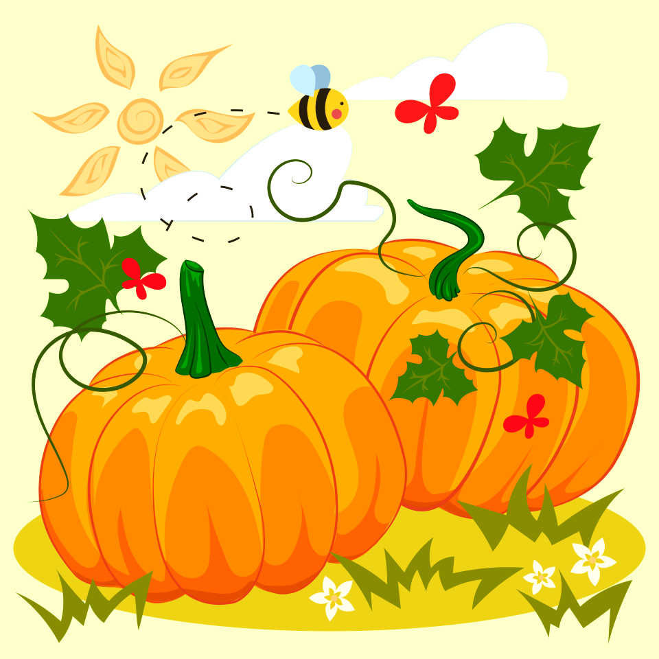 Pumpkin