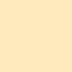 Green sides beige race track 51 background