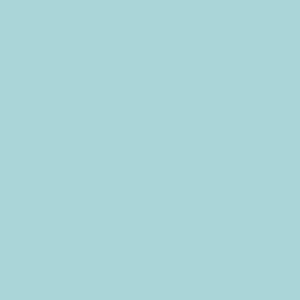 Orange sides blue race track 009 background