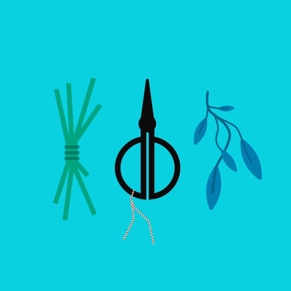 Food herbs scissors sage
