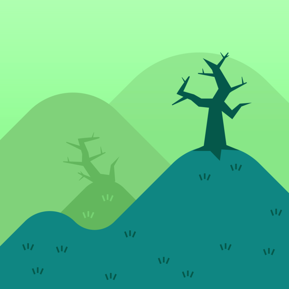 Landscape tree hill