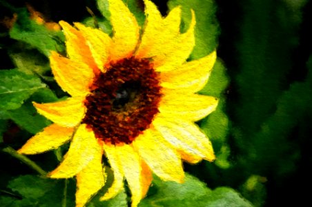 Art artistic blossom