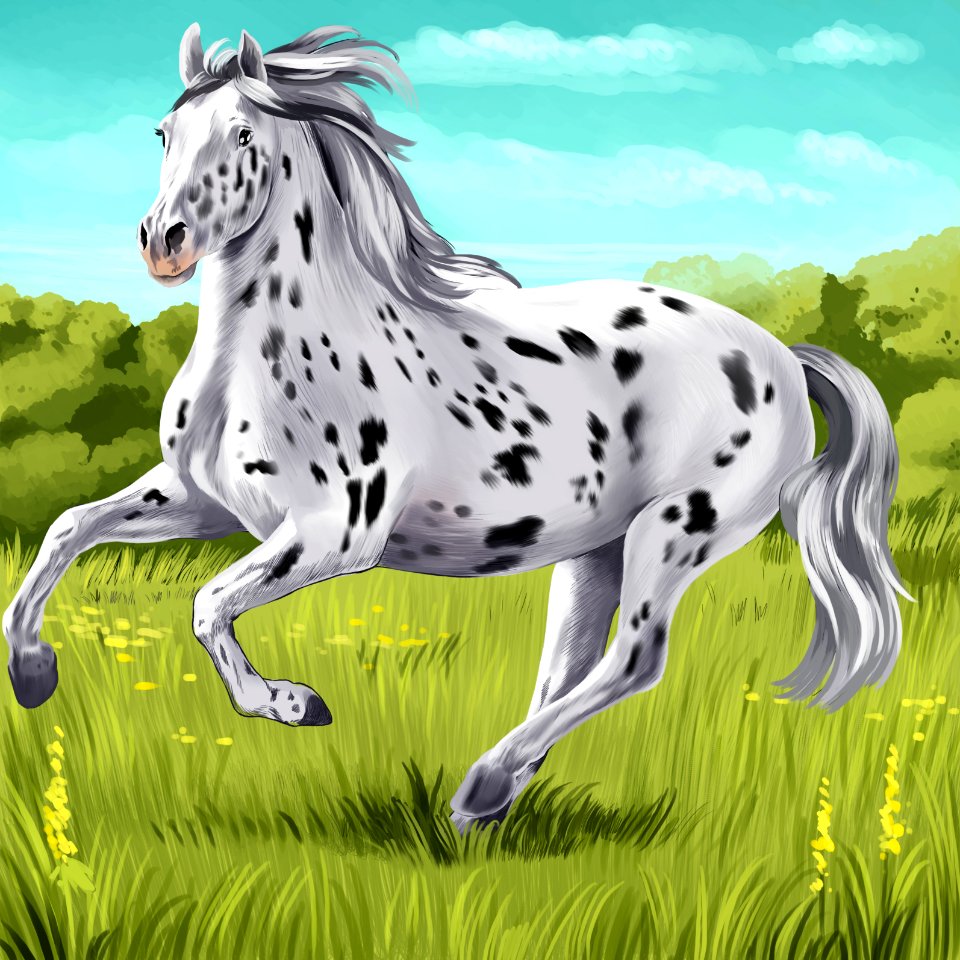 Knabstrupper horse