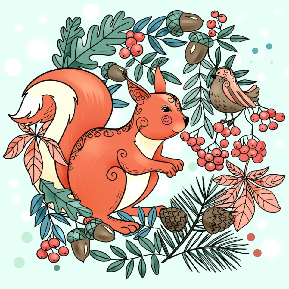 Squirrel