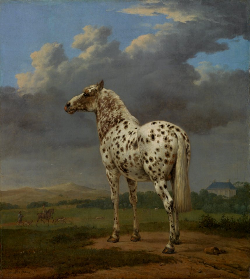 Oil on canvas horse portrait