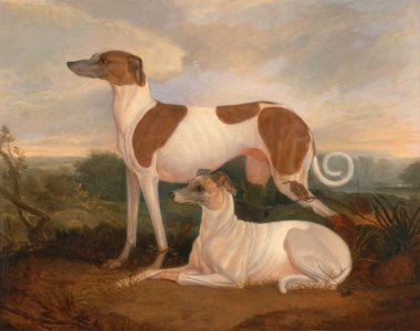Oil on canvas dogs greyhounds