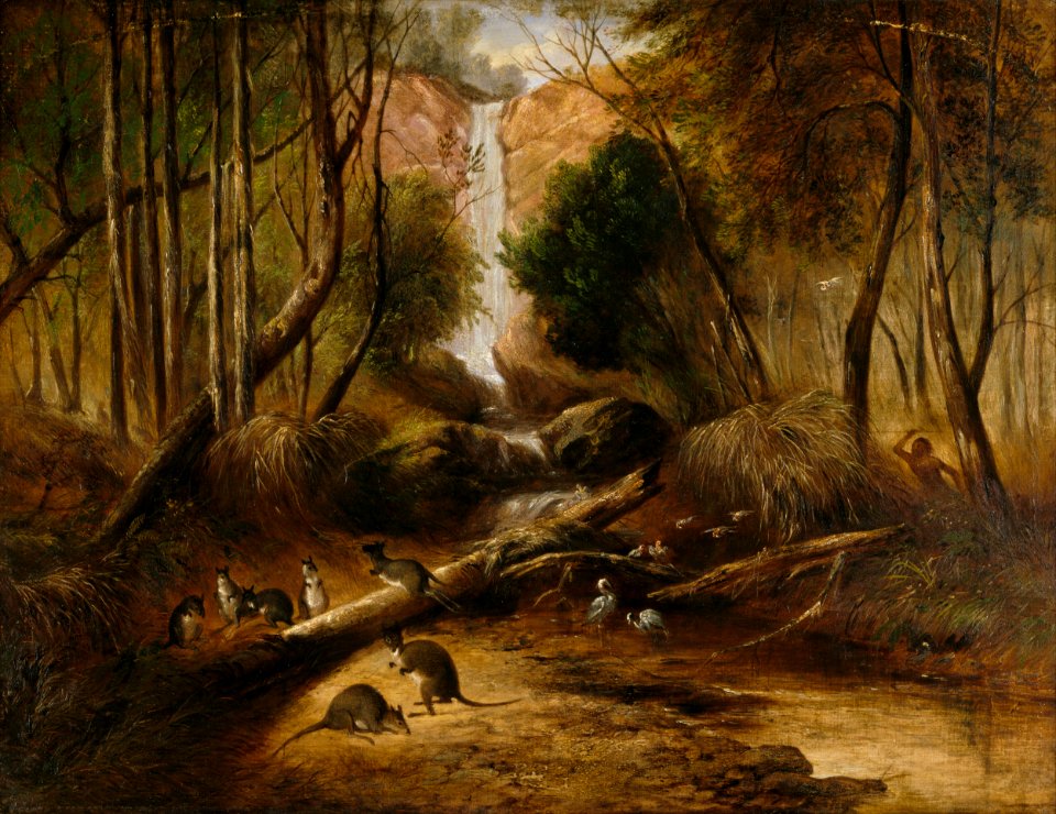 Woods stream water
