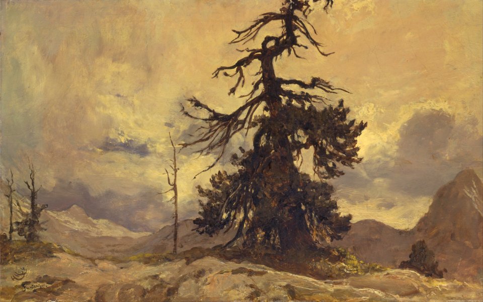 Artistic nature outside