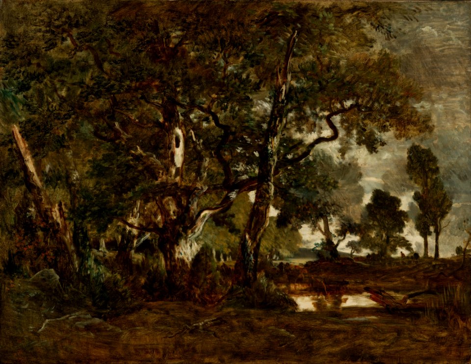 Artistic nature outside