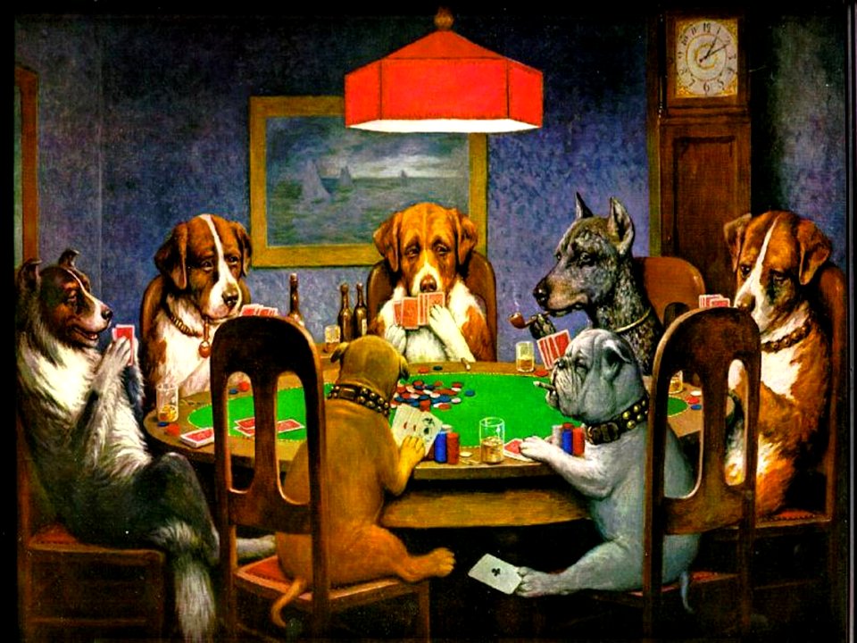 Poker cards humor