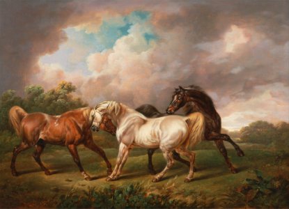 Oil on canvas horses sky