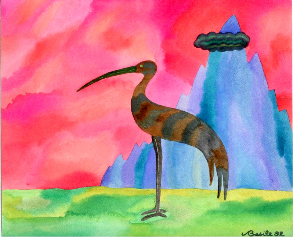 Bird animal drawing