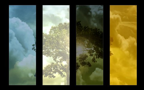 Simple colorful banners - with square motive tree background