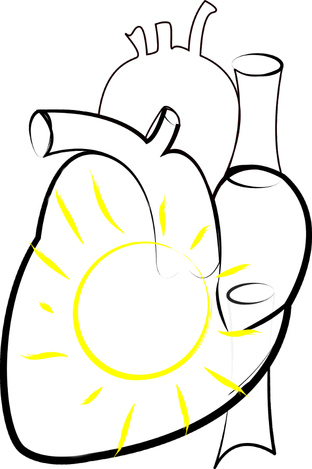Health health care heart