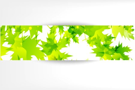 banners with fresh green leaves
