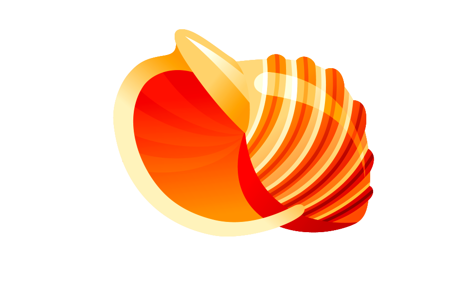 Seashells icon