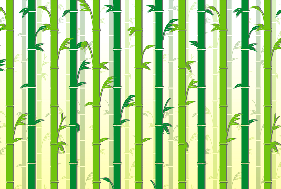 Bamboo forest