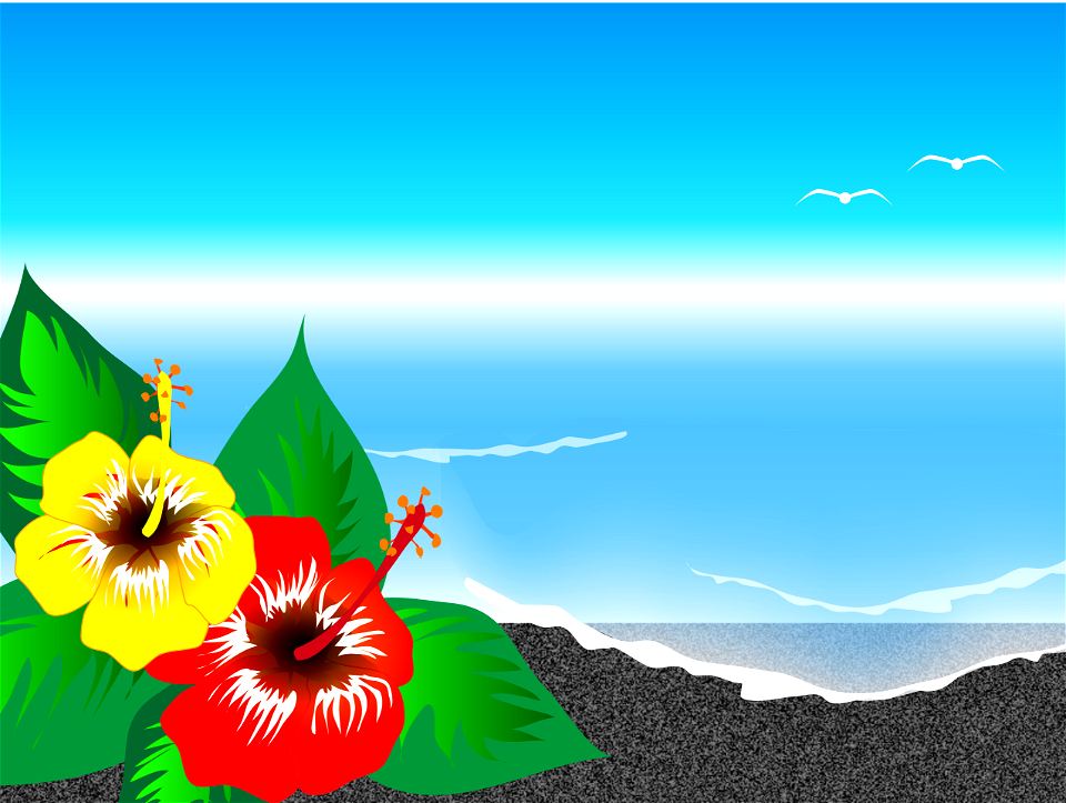 Beach sea hibiscus