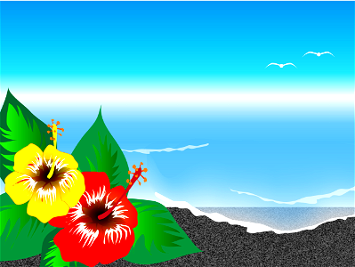 Beach sea hibiscus