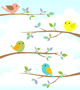 Birds branch