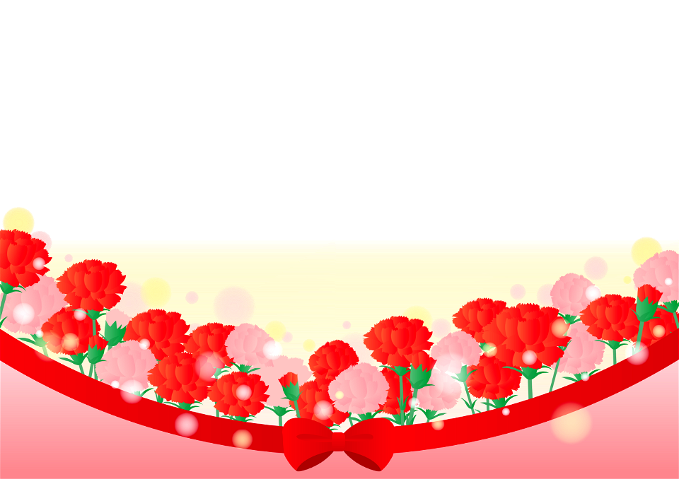 Carnation line