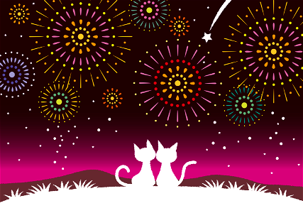 Cat fireworks