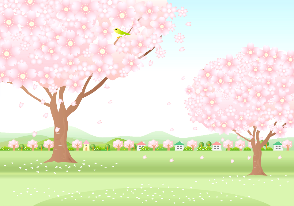 Cherry blossom tree countryside