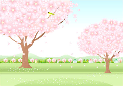 Cherry blossom tree countryside