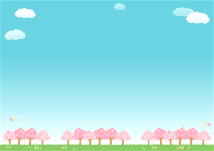 Cherry blossom tree sky