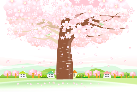 Cherry blossom tree