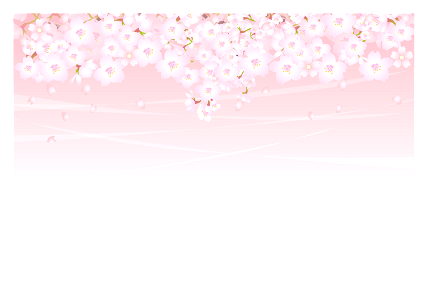 Cherry blossoms background