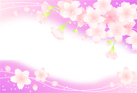 Cherry blossoms background