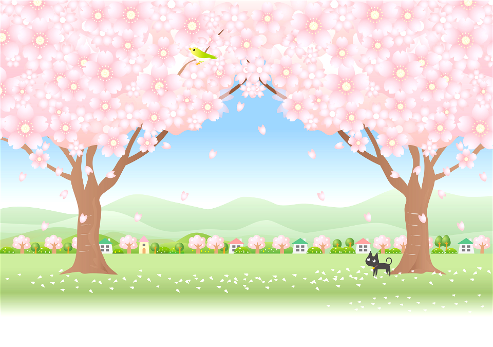 Cherry blossoms countryside