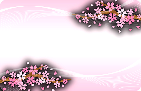 Cherry blossoms frame