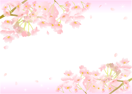 Cherry blossoms frame