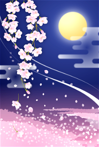 Cherry blossoms night