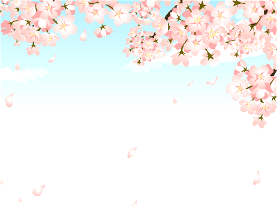 Cherry blossoms sky