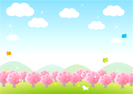 Cherry blossoms trees