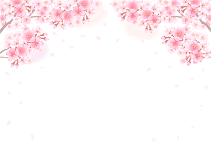 Cherry blossoms