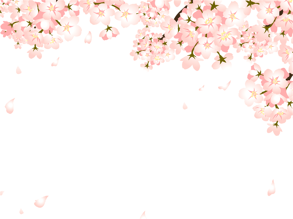 Cherry blossoms