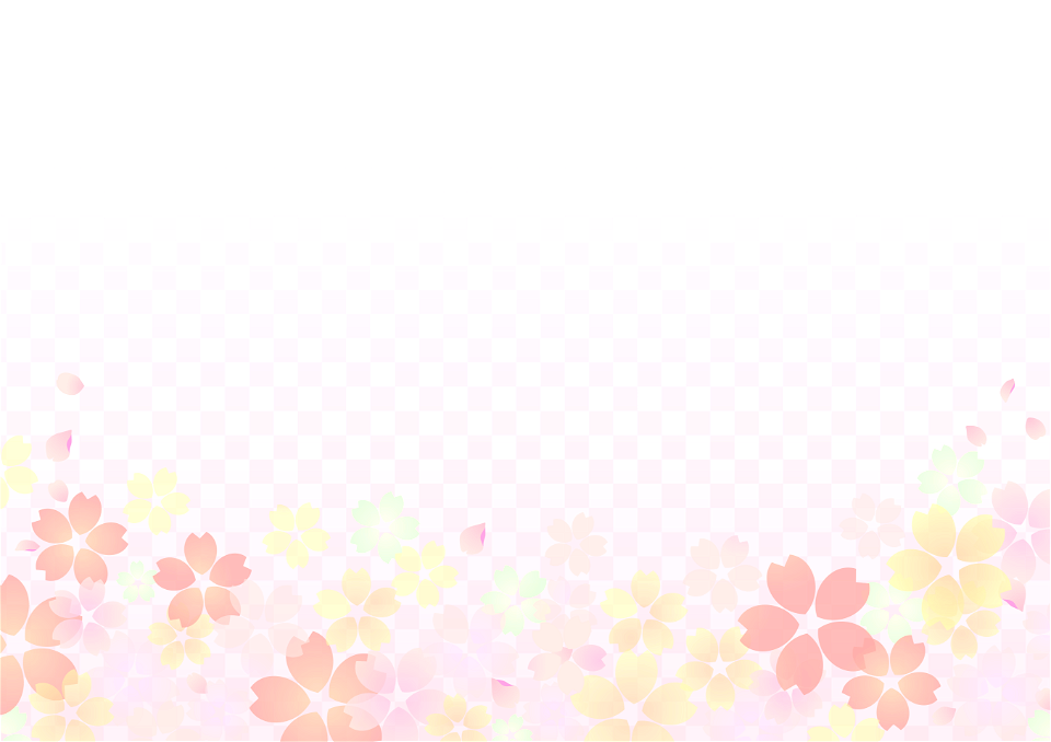Cherry blossoms