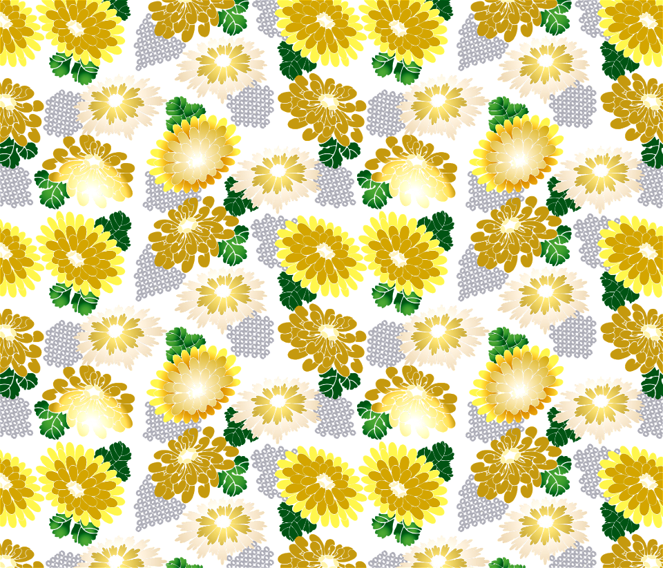 Chrysanthemum background