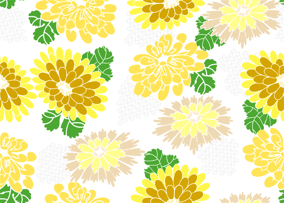 Chrysanthemum background