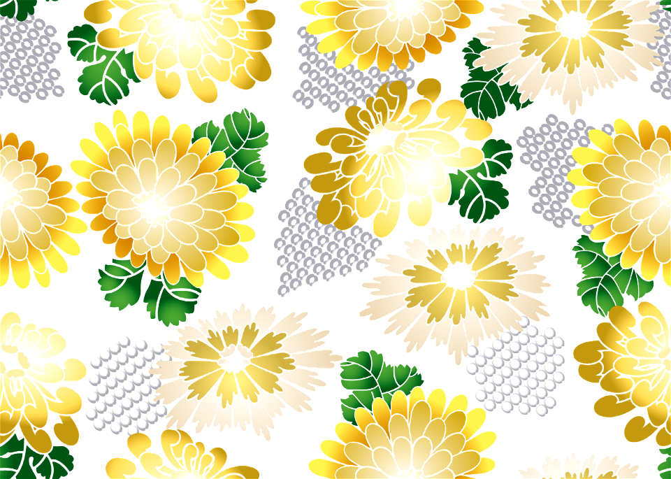 Chrysanthemum background