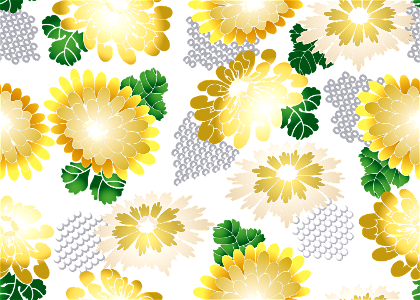 Chrysanthemum background