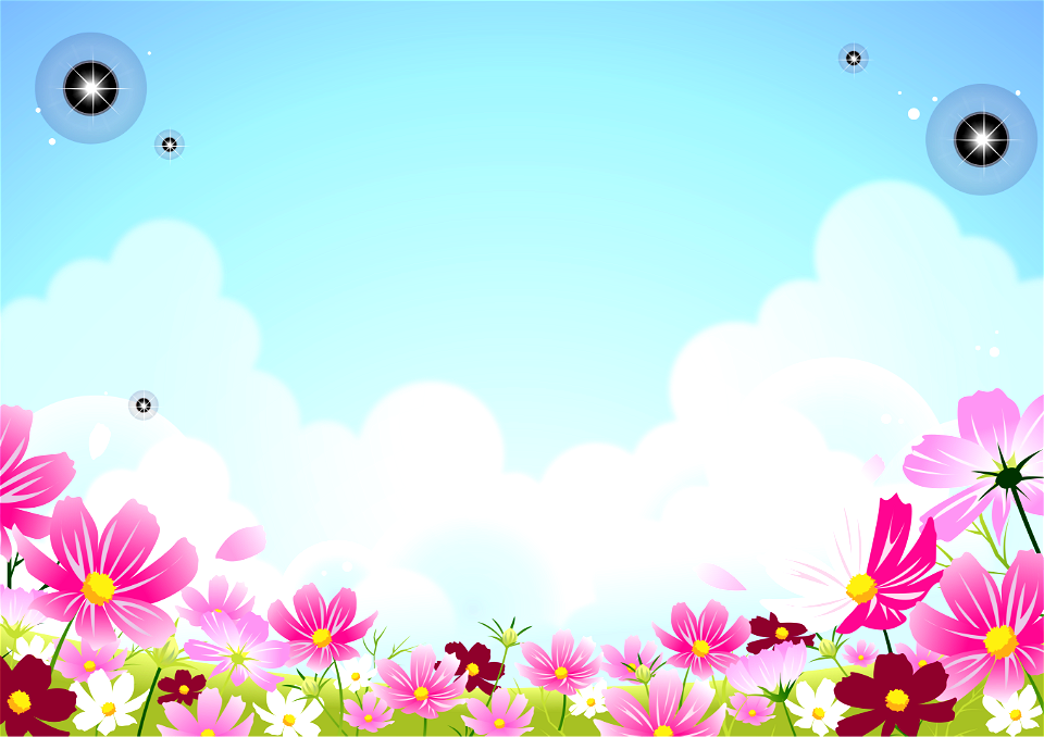 Cosmos field