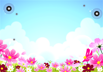 Cosmos field