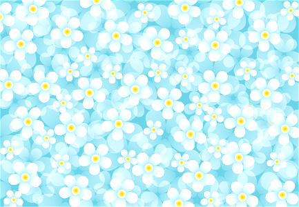 Flowers blue background